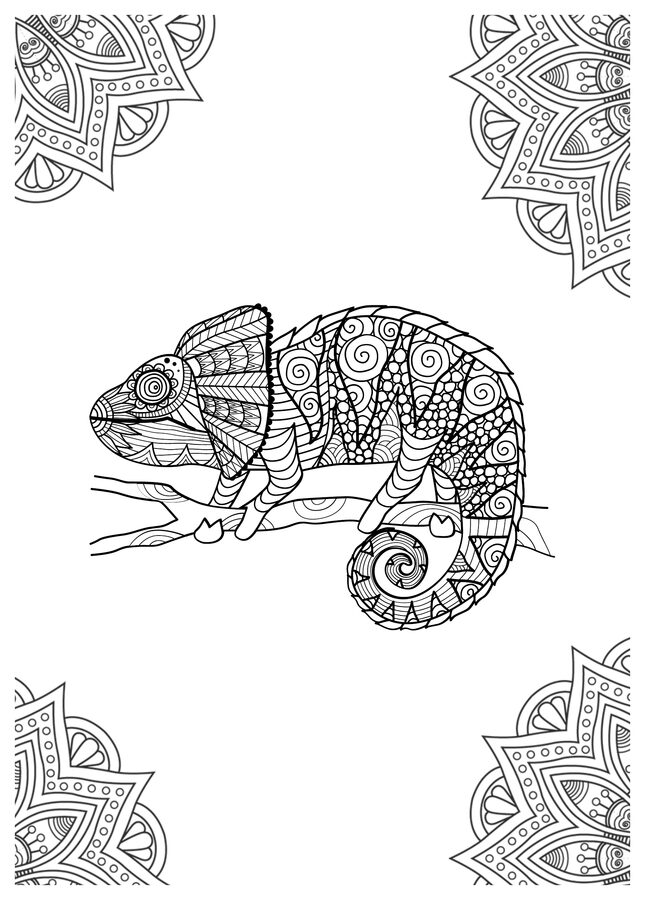Mandala de camaleón